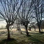Domaine De L'escuderia Pensión Parentis-en-Born