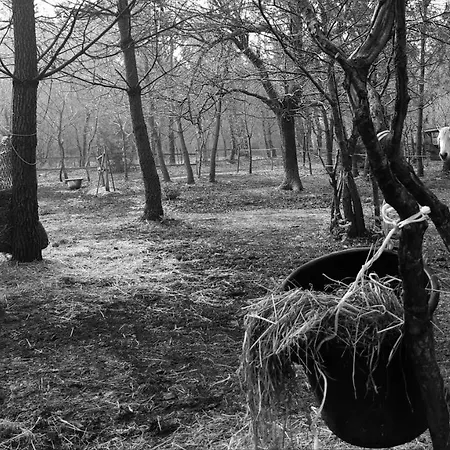 Gasthof Domaine De L'escuderia 4*