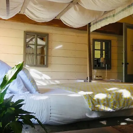 Domaine De L'escuderia Guest house Parentis-en-Born