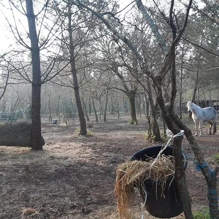 Domaine De L'escuderia Πανσιόν 4*