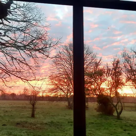 Domaine De L'escuderia