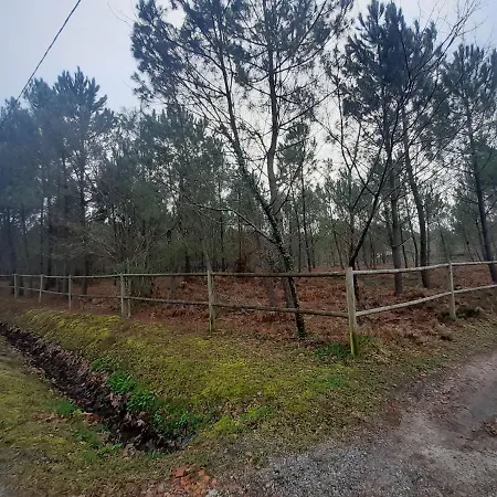 Domaine De L'escuderia Gasthof